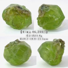 画像5: ペリドット 原石 パキスタン産 【一点もの】 Peridot 結晶 母岩 8月誕生石 希少 カンラン石 オリビン 母岩付き 鉱物 浄化 標本 コレクション 天然石 パワーストーン カラーストーン (5)