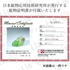画像8: ペリドット 原石 パキスタン産 【一点もの】 Peridot 結晶 母岩 8月誕生石 希少 カンラン石 オリビン 母岩付き 鉱物 浄化 標本 コレクション 天然石 パワーストーン カラーストーン (8)