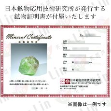 画像6: ペリドット 原石 パキスタン産 【一点もの】 Peridot 結晶 母岩 8月誕生石 希少 カンラン石 オリビン 母岩付き 鉱物 浄化 標本 コレクション 天然石 パワーストーン カラーストーン (6)