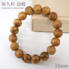 画像1: 屋久杉 泡瘤 (あわこぶ) 12mm ブレスレット 【一点もの】YAKUSUGI AWAKOBU 鹿児島県 屋久島 国産 日本製 瘤 杉 エネルギー パワーズウッド 天然木 (1)