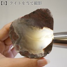 画像5: サンダーエッグ ペア 原石 アメリカ産【一点もの】Thunderegg 希少 オレゴン州 カルセドニー 鉱物 瑪瑙 アゲート 選べる 浄化 天然石 パワーストーン (5)