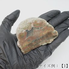 画像10: サンダーエッグ ペア 原石 アメリカ産【一点もの】Thunderegg 希少 オレゴン州 カルセドニー 鉱物 瑪瑙 アゲート 選べる 浄化 天然石 パワーストーン (10)