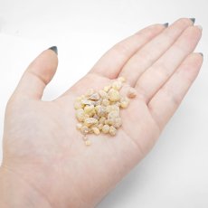 画像3: さざれ 10g 乳香 Frankincense フランキンセンス 木 香木 薫香 樹脂 パワーズウッド 天然木 (3)