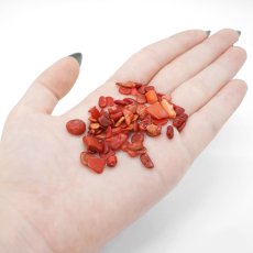 画像3: さざれ 100g 赤染めサンゴ coral 着色 レッド レッドコーラル 赤珊瑚 赤 天然石 パワーストーン カラーストーン (3)