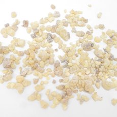 画像2: さざれ 10g 乳香 Frankincense フランキンセンス 木 香木 薫香 樹脂 パワーズウッド 天然木 (2)
