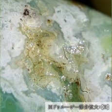 画像10: クリソプレーズ  ドゥルージー入り 勾玉 約23-24mm オーストラリア産 【一点もの】 Chrysoprase 5月誕生石 カルセドニー 結晶 母岩 鉱物 共生 オールドストック レア 日本製 自社製 天然石 パワーストーン (10)