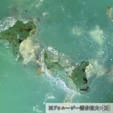 画像6: クリソプレーズ ドゥルージー入り 勾玉 約24-25mm オーストラリア産 【一点もの】 Chrysoprase 5月誕生石 カルセドニー 結晶 母岩 鉱物 共生 オールドストック レア 日本製 自社製 天然石 パワーストーン (6)