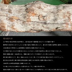 画像5: 寛永 屋久杉 10mm ブレスレット 鹿児島県産 KANEI YAKUSUGI 薩摩藩伐採木 神木 精霊 浄化 お守り 祈り 世界遺産 パワーズウッド 天然木 (5)