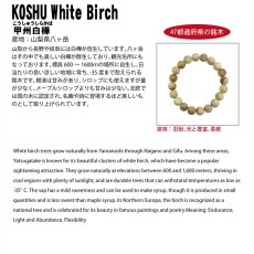 画像4: 甲州白樺(こうしゅうしらかば) ブレスレット 8mm 山梨県 【日本銘木】47都道府県 KOSHU White Birch 自社製 日本製 天然木 パワーズウッド (4)