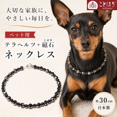画像1: ペット用 ネックレス テラヘルツ × 磁石(じせき) 約30cm 日本製 自社製 磁気 高純度 テラヘルツ鉱石 ヘマタイト 血流改善 小型犬 犬用 アクセサリー 健康ストーン ことほぎ 天然石 パワーストーン お守り ギフト (1)