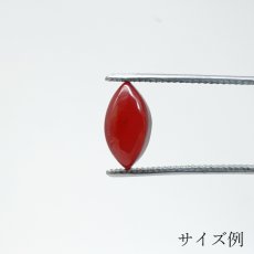 画像3: レッドアンバー ルース1.0ct リトアニア産 マーキス Red Amber コレクション 標本 アンバー 琥珀 天然石 パワーストーン カラーストーン  (3)