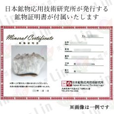 画像11:  カコクセナイト ファントム クラスター 原石 ブラジル産 【 一点もの 】 Quartz カコクセナイトインクォーツ 水晶 クリスタル クォーツ ポイント 結晶 浄化 内包物 鉱物 お守り 天然石 パワーストーン  (11)