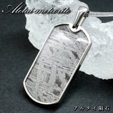 画像1: アルタイ隕石 ペンダントトップ ST 新疆ウイグル自治区 【一点もの】 隕石 Aletai メテオライト 鉄隕石 アイアンメテオライト ステンレス サージカル 宇宙 ヒーリング 天然石 パワーストーン  (1)