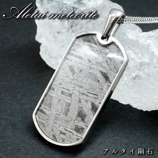 宇宙ロマン 希少隕石 石鉄隕石 金属質 神秘的 個性的 プレゼント