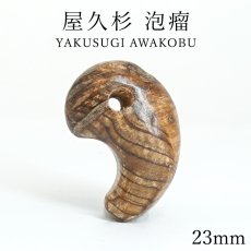 画像1: 屋久杉 泡瘤 (あわこぶ) 勾玉 23mm 【一点もの】 YAKUSUGI AWAKOBU 鹿児島県 屋久島 国産 日本製 瘤 杉 エネルギー パワーズウッド 天然木 (1)