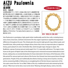画像5: 会津桐(あいづぎり) ブレスレット 12mm 福島県産 【日本銘木】47都道府県 AIZU Paulownia 自社製 日本製 天然木 パワーズウッド (5)