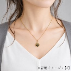 画像6: タイチンルチルクォーツ ペンダントトップ  SV925 ブラジル産【一点もの】Taichin rutile 希少 針水晶 スターバーストルチル ゴールド 浄化 お守り 天然石 パワーストーン (6)