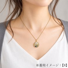 画像6: タイチンルチルクォーツ ペンダントトップ  SV925 ブラジル産【一点もの】Taichin rutile 希少 針水晶 スターバーストルチル ゴールド 浄化 お守り 天然石 パワーストーン (6)