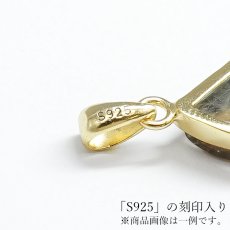 画像7: タイチンルチルクォーツ ペンダントトップ  SV925 ブラジル産【一点もの】Taichin rutile 希少 針水晶 スターバーストルチル ゴールド 浄化 お守り 天然石 パワーストーン (7)