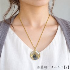 画像4: タイチンルチルクォーツ ペンダントトップ  SV925 ブラジル産【一点もの】Taichin rutile 希少 針水晶 スターバーストルチル ゴールド 浄化 お守り 天然石 パワーストーン (4)