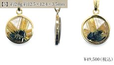 画像4: タイチンルチルクォーツ ペンダントトップ  SV925 ブラジル産【一点もの】Taichin rutile 希少 針水晶 スターバーストルチル ゴールド 浄化 お守り 天然石 パワーストーン (4)