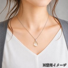 画像3: 14020036807602305001 (3)
