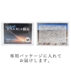 画像7:  ゲベルカミル隕石 原石 エジプト産【一点物】Gebel Kamil meteorite ケース入り 鉄隕石 アタキサイト 隕鉄 鉱物 鉱石 コレクション 標本 浄化 お守り 天然石 パワーストーン (7)