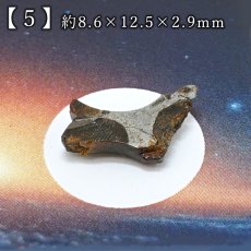 画像6: セリコ隕石 原石 ケニア産【一点物】Serico meteorite Parasite ケース入り パラサイト 希少石 石鉄隕石 奇跡の隕石 セリコ南部 鉱物 鉱石 コレクション 標本 浄化 お守り 天然石 パワーストーン (6)