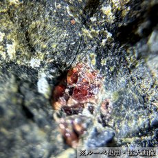 画像5: パイロープガーネット ペリドタイト母岩 原石 チェコ産 共生鉱物 【 一点もの 】 Pyrope Garnet ガーネット 標本 鉱物 結晶 希少 お守り 浄化 天然石 パワーストーン カラーストーン (5)