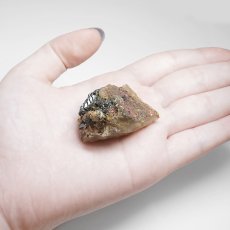 画像4: ルチルクォーツ 原石 27.4g ブラジル産【一点もの】Rutile quartz 希少 タイチン 針水晶 ルチル ゴールド オブジェ 鉱物 浄化 お守り 天然石 パワーストーン (4)