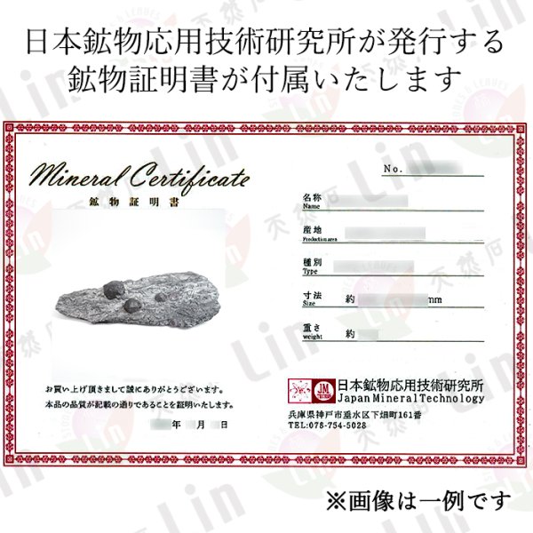 共生鉱物 1月誕生石 ヒーリング 透明度 コレクション 風水 インテリア