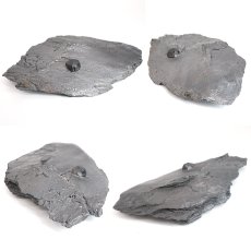 画像2: ガーネット on グラファイト 原石 約103.9g アメリカ レッドエンバーズ鉱山産 【一点もの】 Garnet on Graphite ガーネットオングラファイト 鉱物 共生 標本 結晶 柘榴石 石墨 浄化 お守り 天然石 パワーストーン カラーストーン (2)