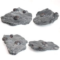 画像2: ガーネット on グラファイト 原石 約51.8g アメリカ レッドエンバーズ鉱山産 【一点もの】 Garnet on Graphite ガーネットオングラファイト 鉱物 共生 標本 結晶 柘榴石 石墨 浄化 お守り 天然石 パワーストーン カラーストーン (2)