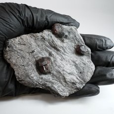 画像4: ガーネット on グラファイト 原石 約51.8g アメリカ レッドエンバーズ鉱山産 【一点もの】 Garnet on Graphite ガーネットオングラファイト 鉱物 共生 標本 結晶 柘榴石 石墨 浄化 お守り 天然石 パワーストーン カラーストーン (4)