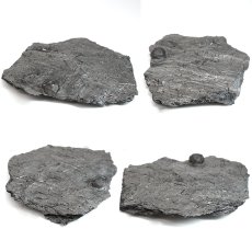 画像2: ガーネット on グラファイト 原石 約42.6g アメリカ レッドエンバーズ鉱山産 【一点もの】 Garnet on Graphite ガーネットオングラファイト 鉱物 共生 標本 結晶 柘榴石 石墨 浄化 お守り 天然石 パワーストーン カラーストーン (2)