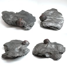 画像2: ガーネット on グラファイト 原石 約44.3g アメリカ レッドエンバーズ鉱山産 【一点もの】 Garnet on Graphite ガーネットオングラファイト 鉱物 共生 標本 結晶 柘榴石 石墨 浄化 お守り 天然石 パワーストーン カラーストーン (2)