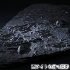 画像6: ガーネット on グラファイト 原石 約154.5g アメリカ レッドエンバーズ鉱山産 【一点もの】 Garnet on Graphite ガーネットオングラファイト 鉱物 共生 標本 結晶 柘榴石 石墨 浄化 お守り 天然石 パワーストーン カラーストーン (6)