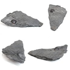 画像2: ガーネット on グラファイト 原石 約41.1g アメリカ レッドエンバーズ鉱山産 【一点もの】 Garnet on Graphite ガーネットオングラファイト 鉱物 共生 標本 結晶 柘榴石 石墨 浄化 お守り 天然石 パワーストーン カラーストーン (2)