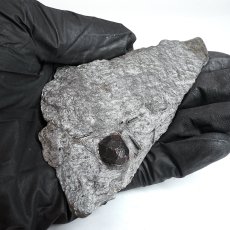 画像4: ガーネット on グラファイト 原石 約41.1g アメリカ レッドエンバーズ鉱山産 【一点もの】 Garnet on Graphite ガーネットオングラファイト 鉱物 共生 標本 結晶 柘榴石 石墨 浄化 お守り 天然石 パワーストーン カラーストーン (4)