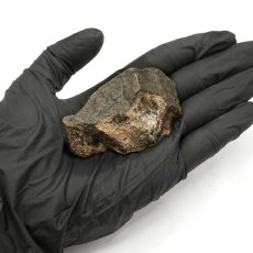 画像4: コンドライト 原石 73.8g モロッコ産【一点物】Chondrite  隕石 コンドライト隕石 コンドリュール 宇宙 超希少 天然石 パワーストーン (4)