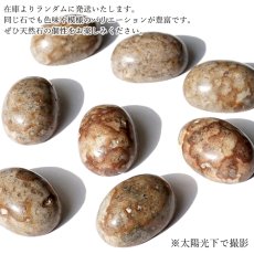 画像4: 姫川薬石 ルース 新潟県産 18×13mm オーバル カボション Himekawa Yakuseki 糸魚川市 虎石 薬石 日本銘石 正規代理店 日本製 自社製 鉱物 パワーストーン 天然石 (4)