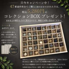 画像5: 鋸南石 原石 千葉県産 KYONAN Stone 日本銘石 全国 47都道府県 正規代理店 国産 鉱物 コレクション 天然石 パワーストーン (5)
