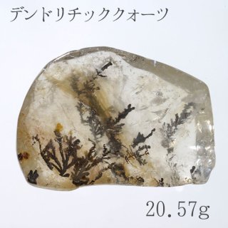 模様くっきり高品質　デンドリティッククォーツ シダ模様 しのぶ石 模様くっきり高品質 デンドリティッククォーツ シダ模様 しのぶ石 模様