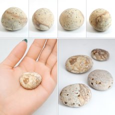 画像2: 姫川薬石 原石 新潟県産 Himekawa Yakuseki 糸魚川市 虎石 薬石 日本銘石 全国 47都道府県 正規代理店 国産 鉱物 コレクション 天然石 パワーストーン (2)