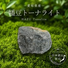 画像1: 幡豆トーナライト 原石 愛知県産 HAZU Tonalite 日本銘石 全国 47都道府県 正規代理店 国産 鉱物 コレクション 天然石 パワーストーン (1)