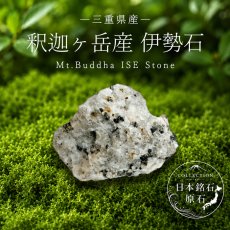 画像1: 釈迦ヶ岳産 伊勢石 原石 三重県産 Mt.Buddha ISE Stone 釈迦如来 健康 ラジウム 日本銘石 全国 47都道府県 正規代理店 国産 鉱物 コレクション 天然石 パワーストーン (1)
