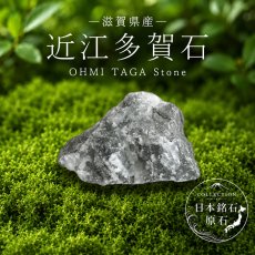 画像1: 近江多賀石 原石 滋賀県産 OHMI TAGA Stone 多賀大社 日本銘石 全国 47都道府県 正規代理店 国産 鉱物 コレクション 天然石 パワーストーン (1)