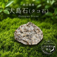 画像1: 犬島石 原石 岡山県産 タコ石 Octopus Stone 犬島産 日本銘石 全国 47都道府県 正規代理店 国産 鉱物 コレクション 天然石 パワーストーン (1)