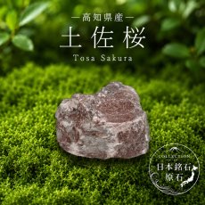 画像1: 土佐桜 原石 高知県産 Tosa Sakura 石灰岩 桜の石 日本銘石 全国 47都道府県 正規代理店 国産 鉱物 コレクション 天然石 パワーストーン (1)