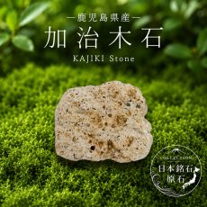 画像1: 加治木石 原石 鹿児島県産 KAJIKI Stone 姶良市 加治木町 日本銘石 全国 47都道府県 正規代理店 国産 鉱物 コレクション 天然石 パワーストーン (1)